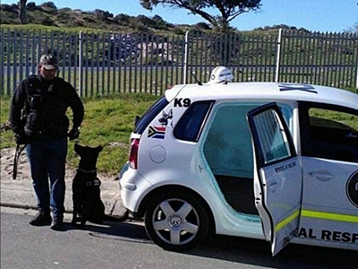 IMG_20190711_203731_crop